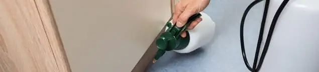 Bed bug exterminator treating baseboards and cracks with targeted spray in Hollywood, FL