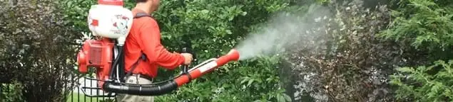 Mosquito control technician fogging shrubs and landscaping for mosquito treatment in Hollywood, FL