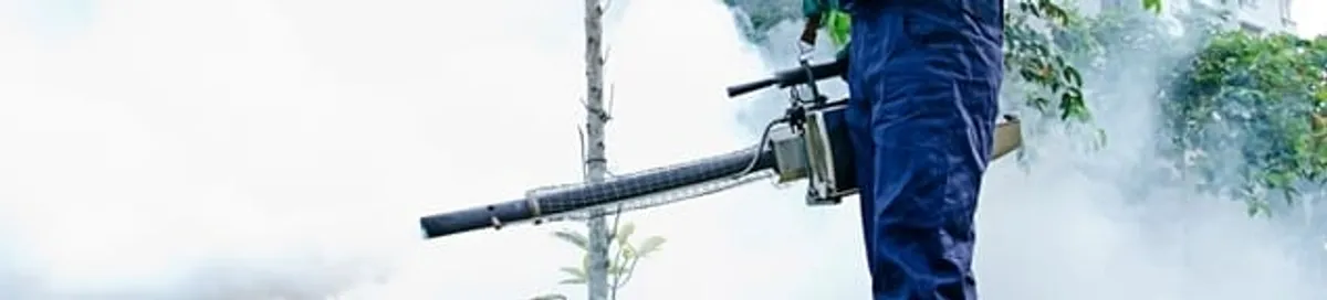 Pest control technician fogging an outdoor area for insect control in Hollywood, FL