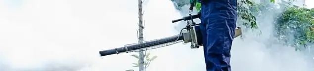 Pest control technician fogging an outdoor area for insect control in Hollywood, FL