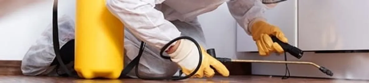 Roach exterminator treating cracks and crevices along kitchen baseboards in Hollywood, FL