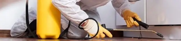 Roach exterminator treating cracks and crevices along kitchen baseboards in Hollywood, FL