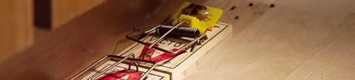 Rodent trap set indoors for rodent control and prevention in Hollywood, FL