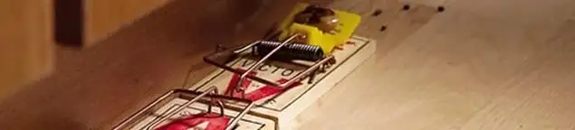Rodent trap set indoors for rodent control and prevention in Hollywood, FL